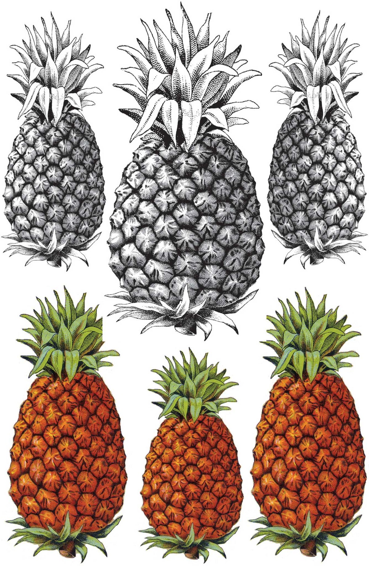Pineapple Tattoos #3031– Rubber Stamp Plantation